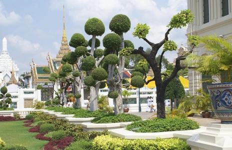 园林艺术.园林设计.泰国曼谷大皇宫花园照片